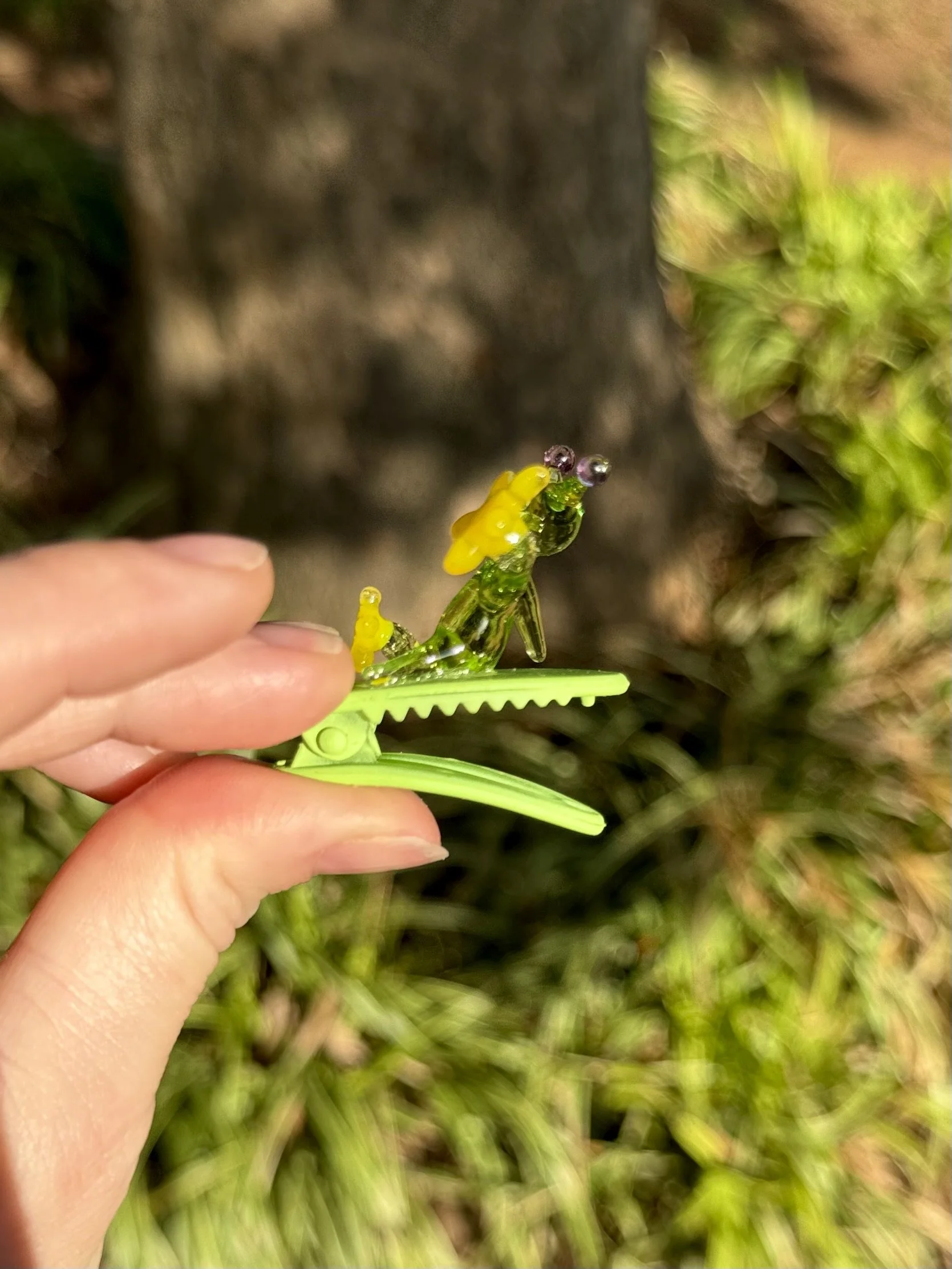 IMG_0981.jpeg