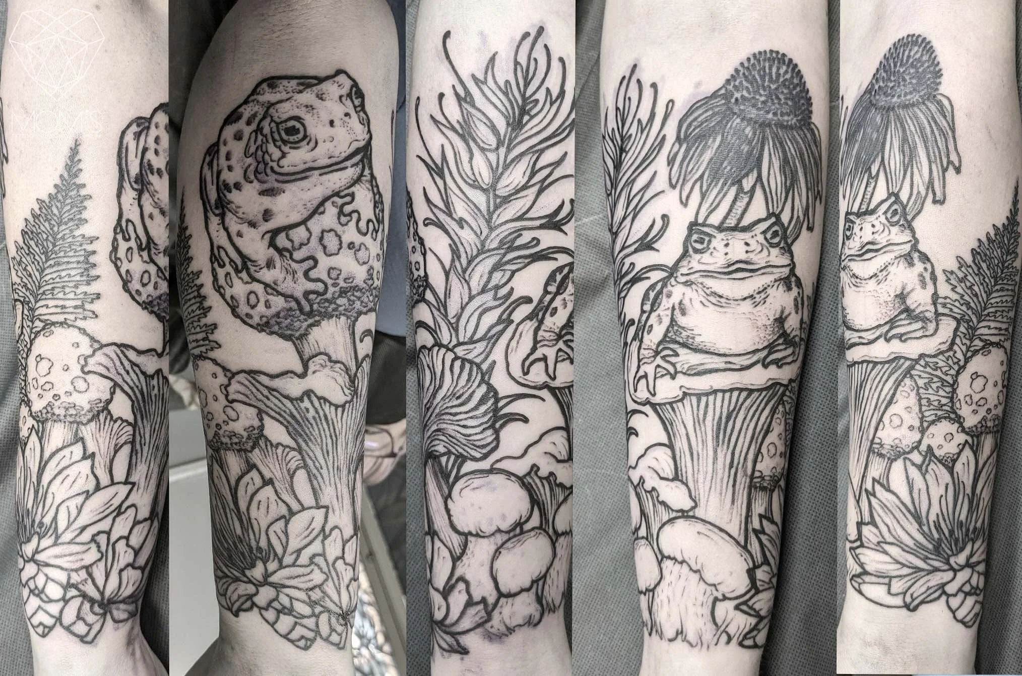 Tattoo-black-toads-mushrooms-Anji-Marth.jpg