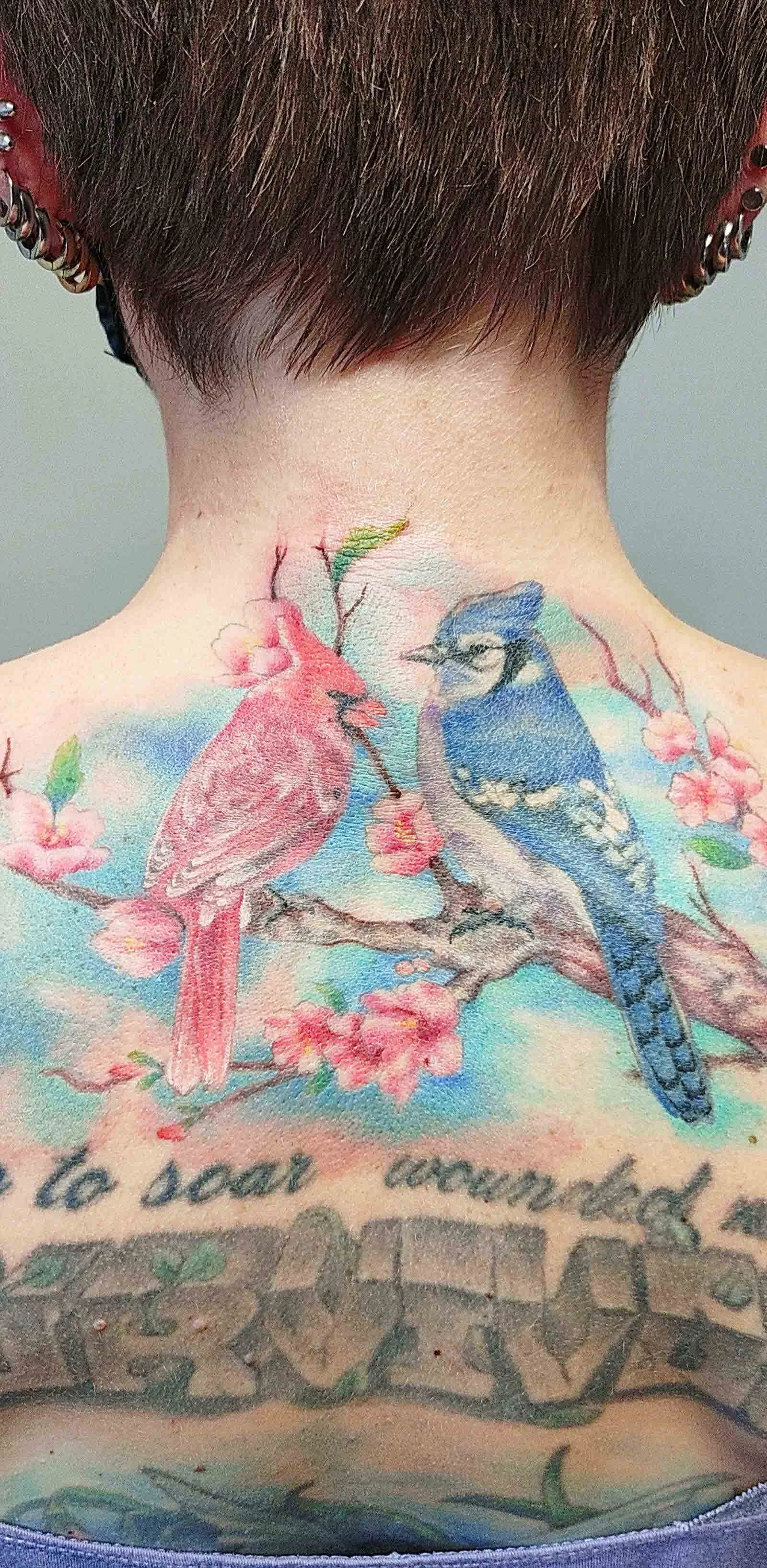MrVick_Colorful_Cardinals_UpperBack.jpg