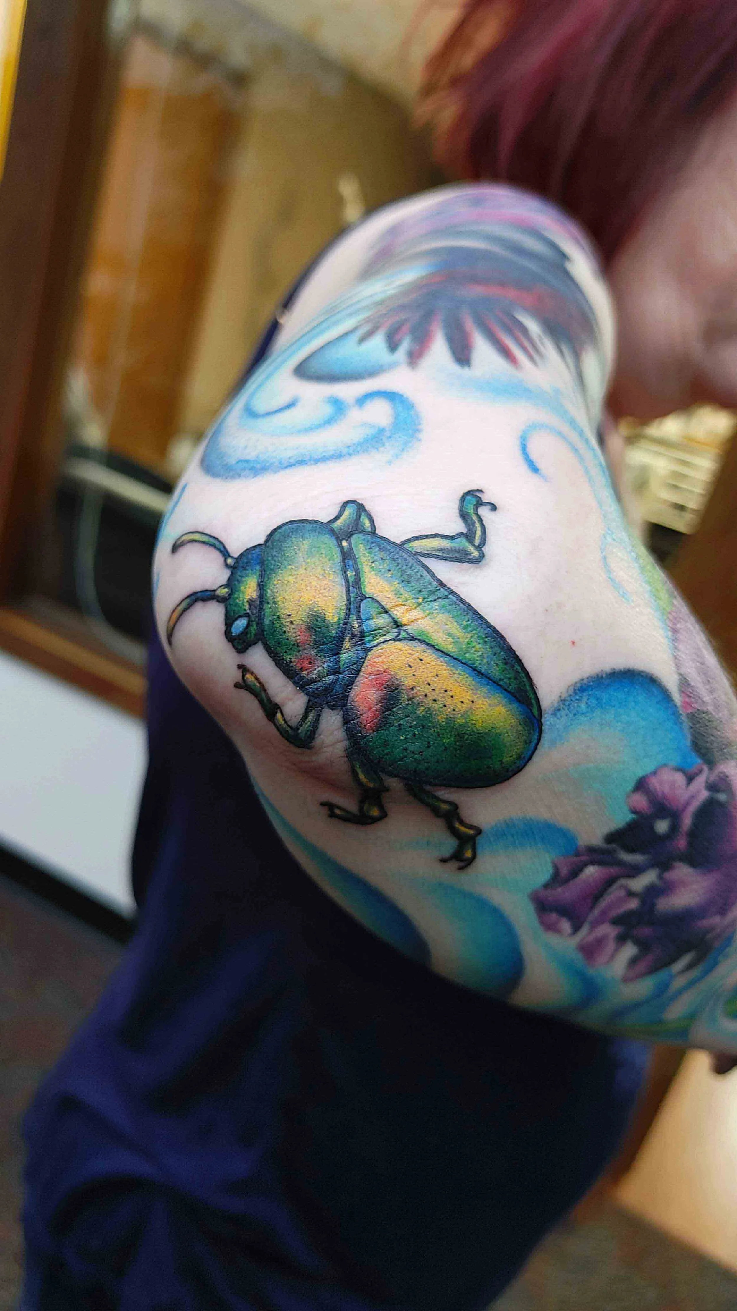 MrVick_Colorful_StinkBeetle_Elbow.jpg