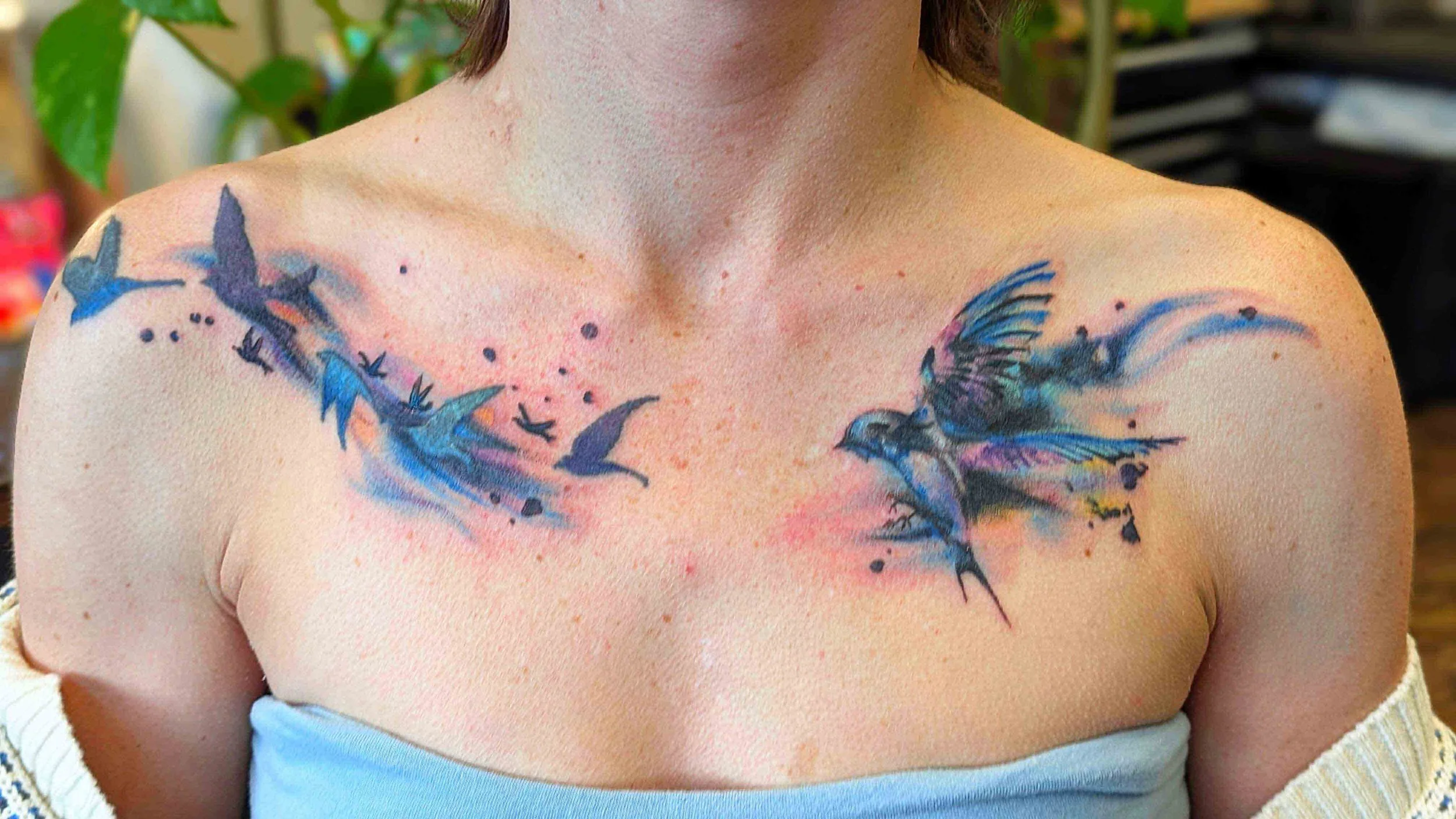 MrVick_Watercolor_Birds_Coverup_Chest.jpg