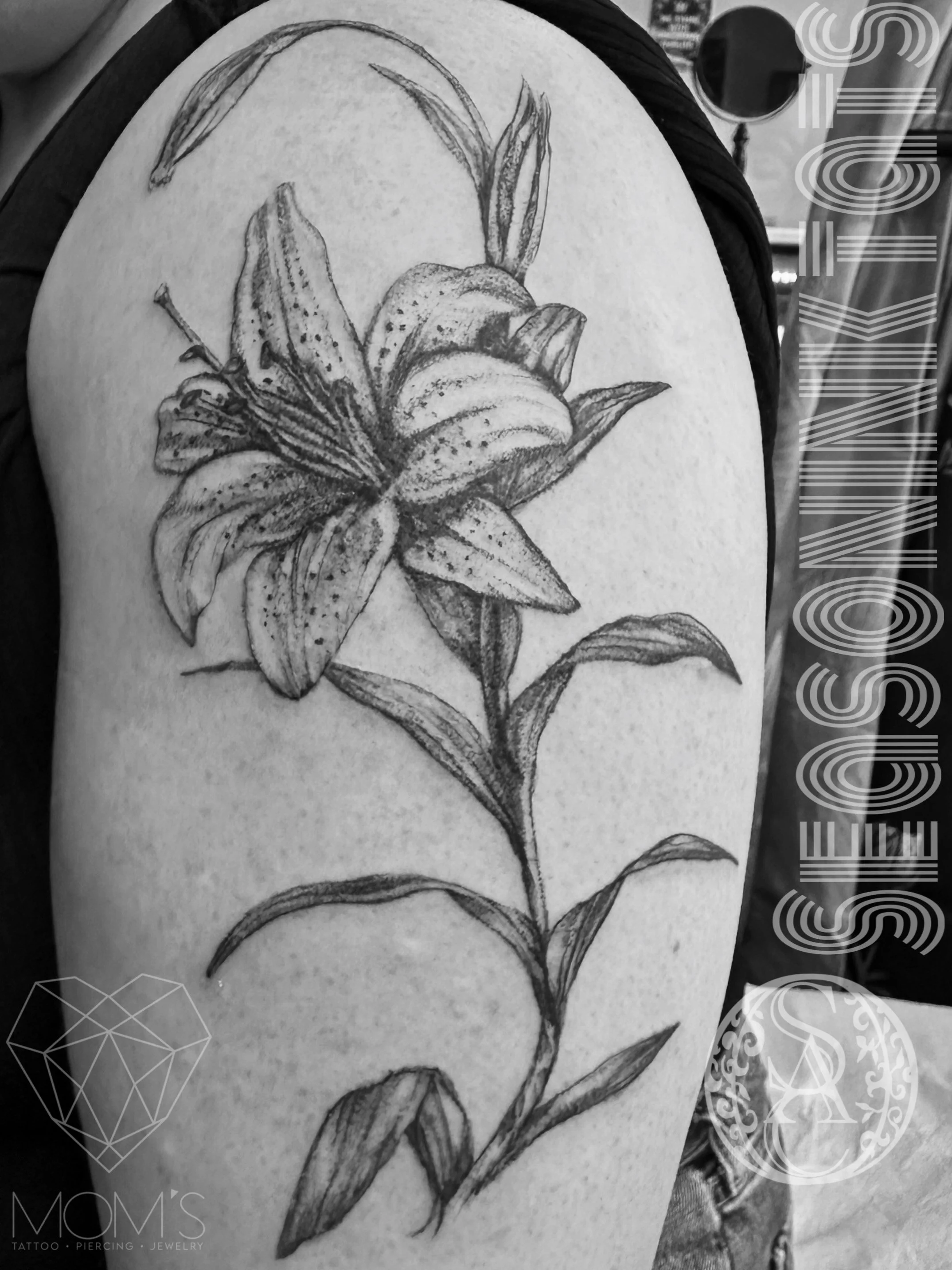 Black and grey lilies