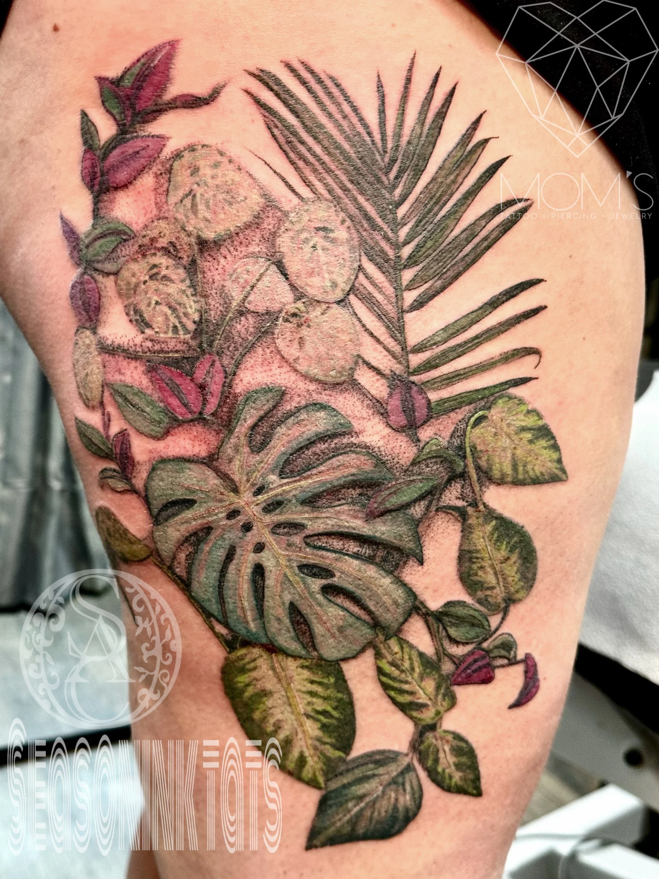 Color houseplants