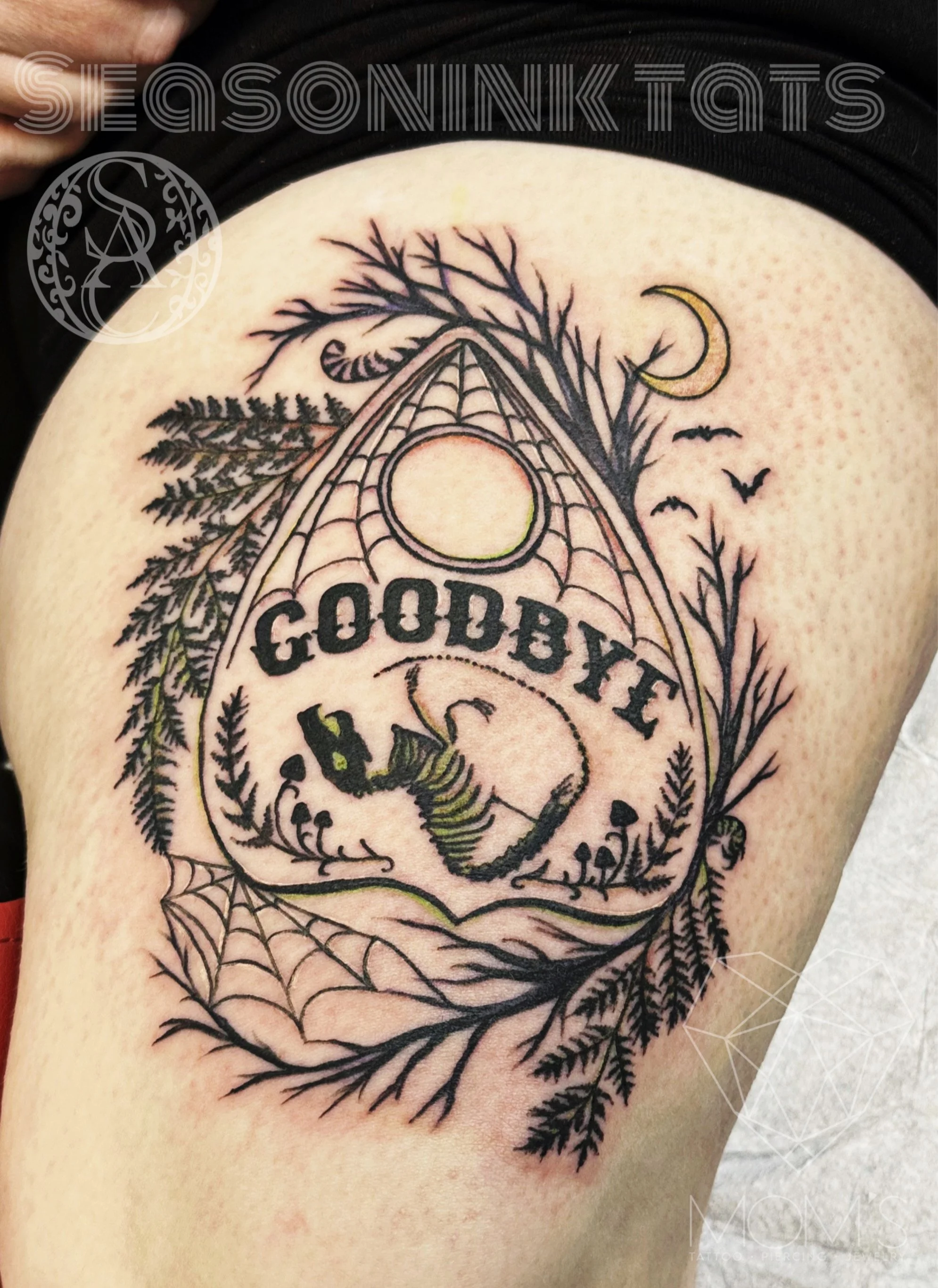Illustrative color planchette bat