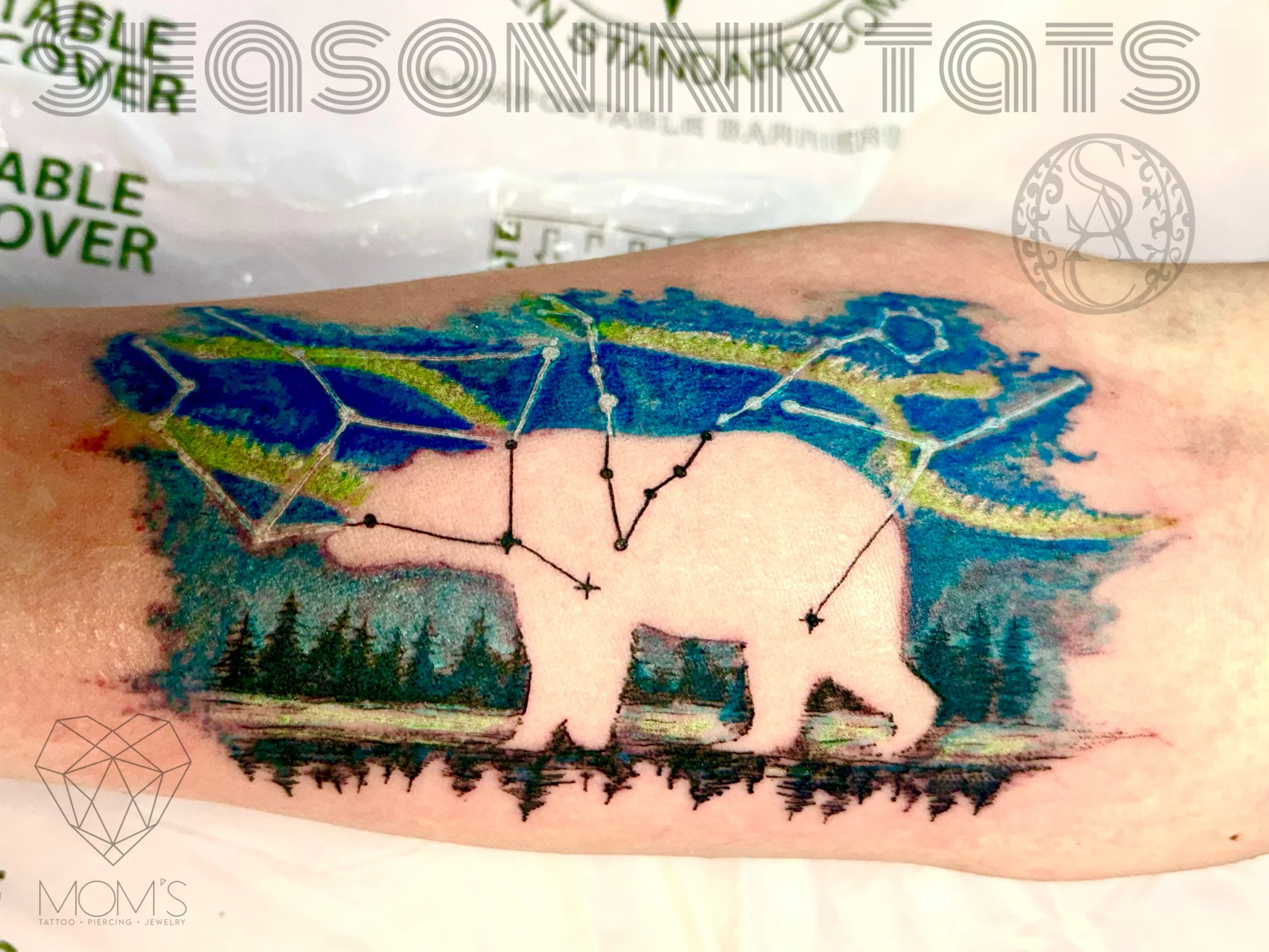 Watercolor bear constellation