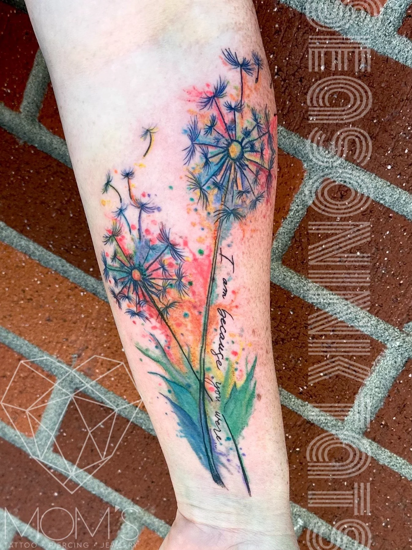 SusanCrofts_watercolor_dandelion.jpeg