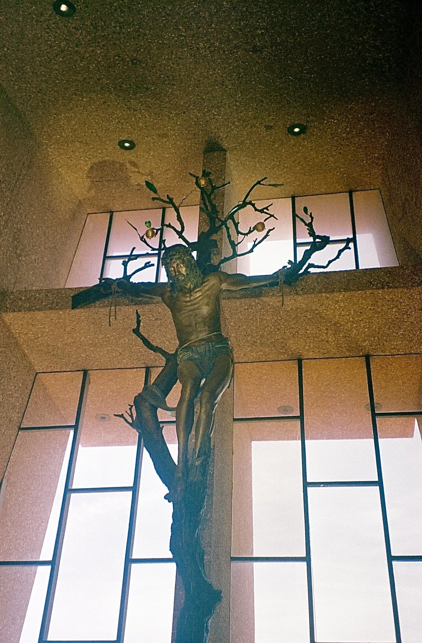 jesus on the cross.jpeg