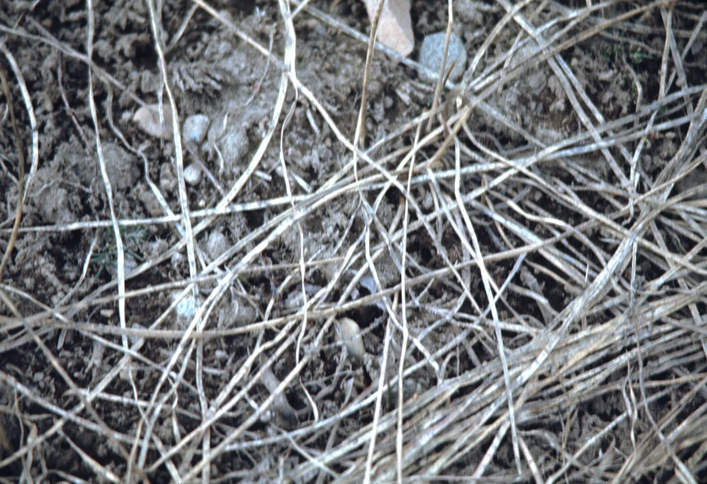 H_007.jpg