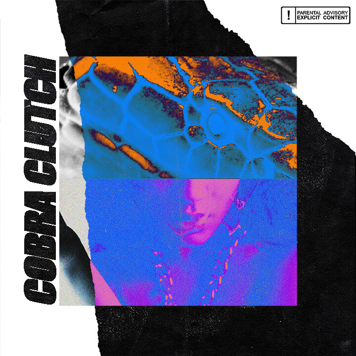 CobraClutch.72res.jpg