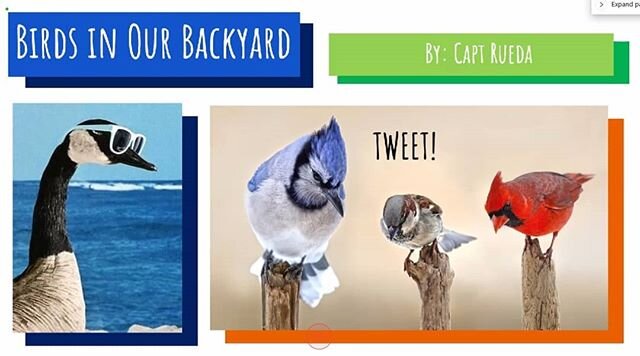 #BirdsinOurBackyard &bull; 13 May 2020⁣
⁣
Capt Rueda taught a wonderful virtual interactive class with 2 interactive games about the types of birds, what songs they make and what their calls are. ⁣
⁣
We hope to keep making great virtual classes and i
