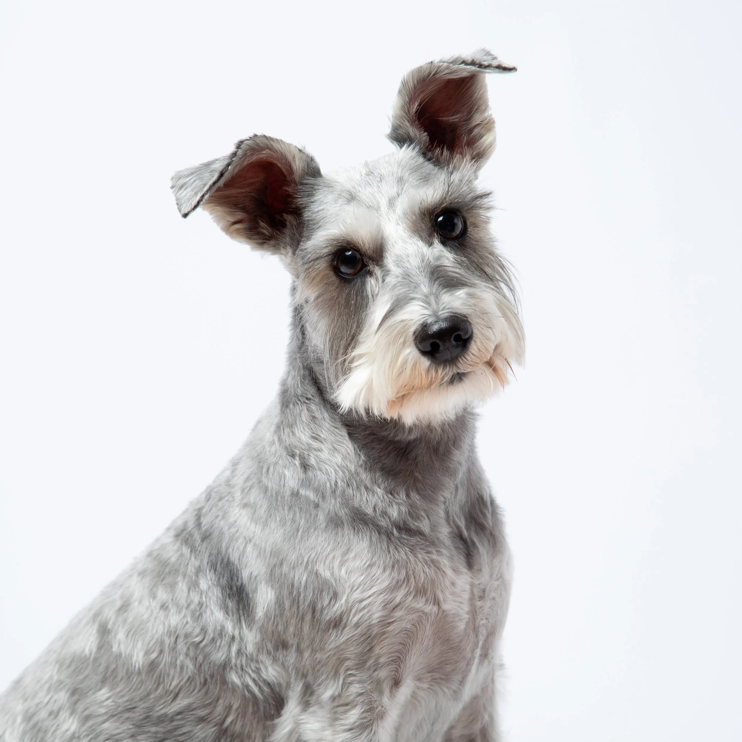 Studio Session-024.jpg