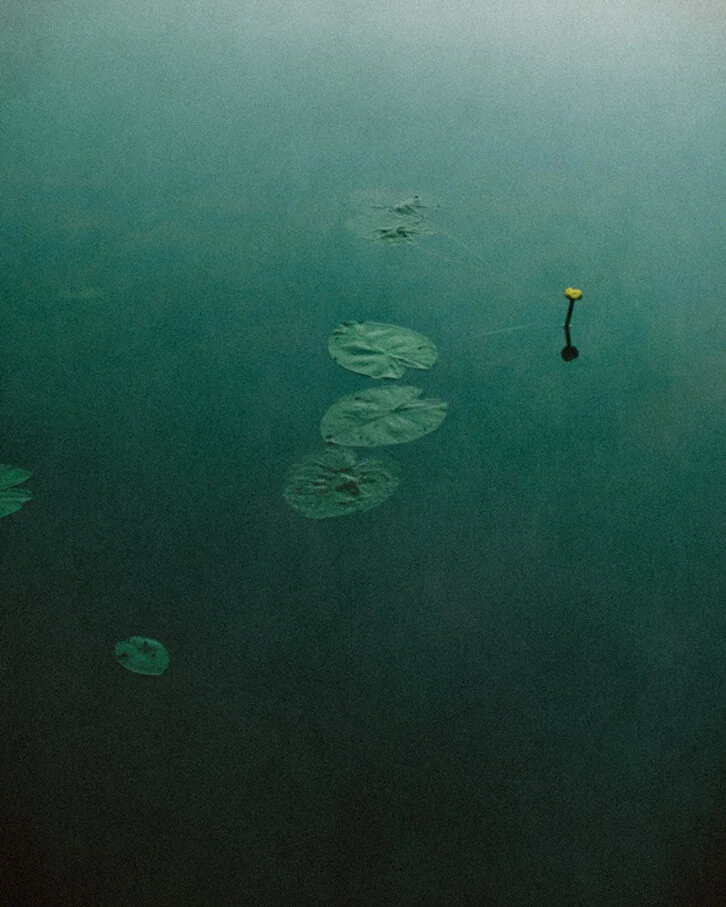 nature_3.jpg