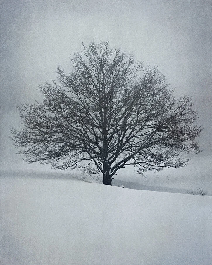 nature_4.jpg