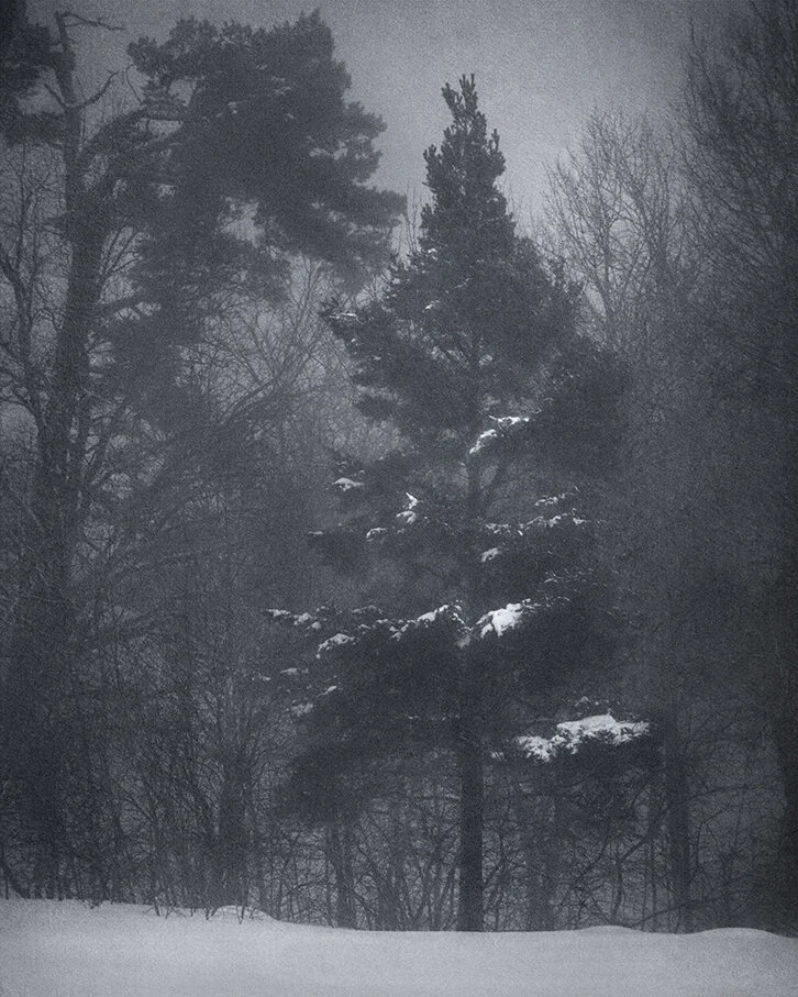 nature_5.jpg