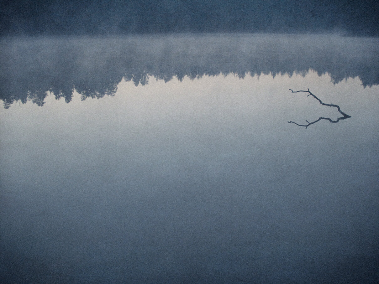 nature_7.jpg