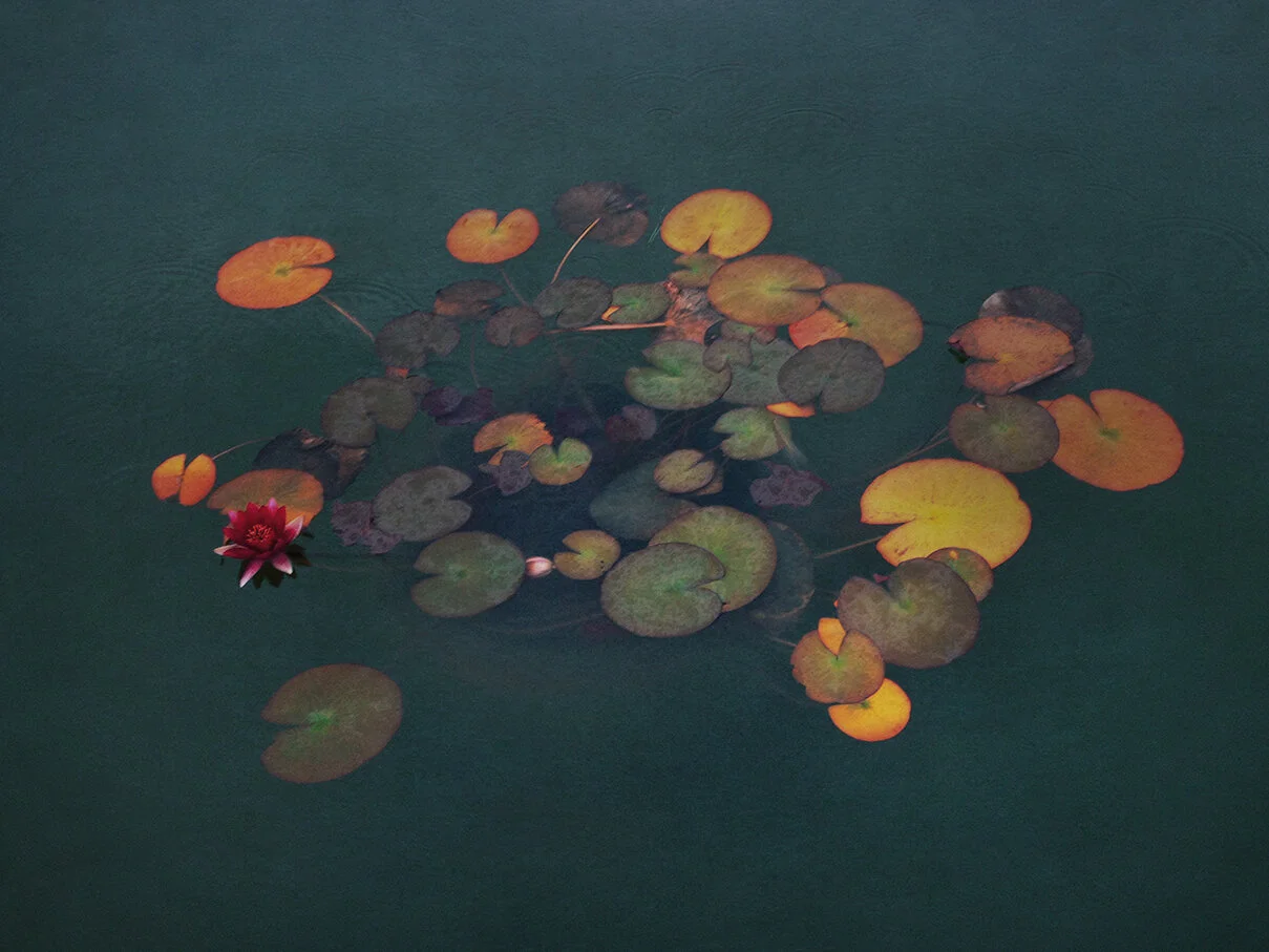 nature_8.jpg