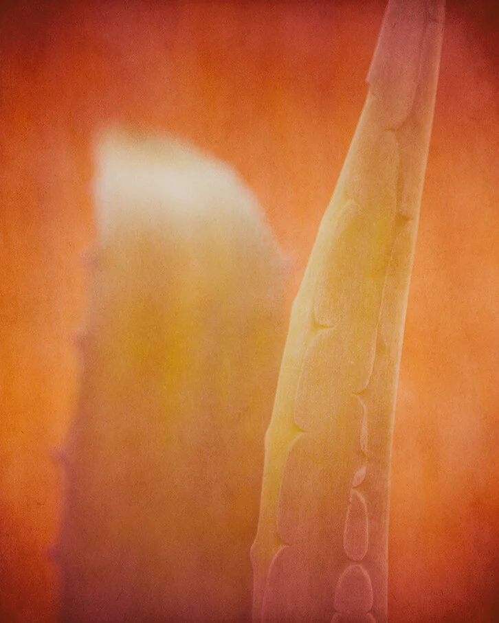 PU_100303_0090-3 kopiera_k.jpg