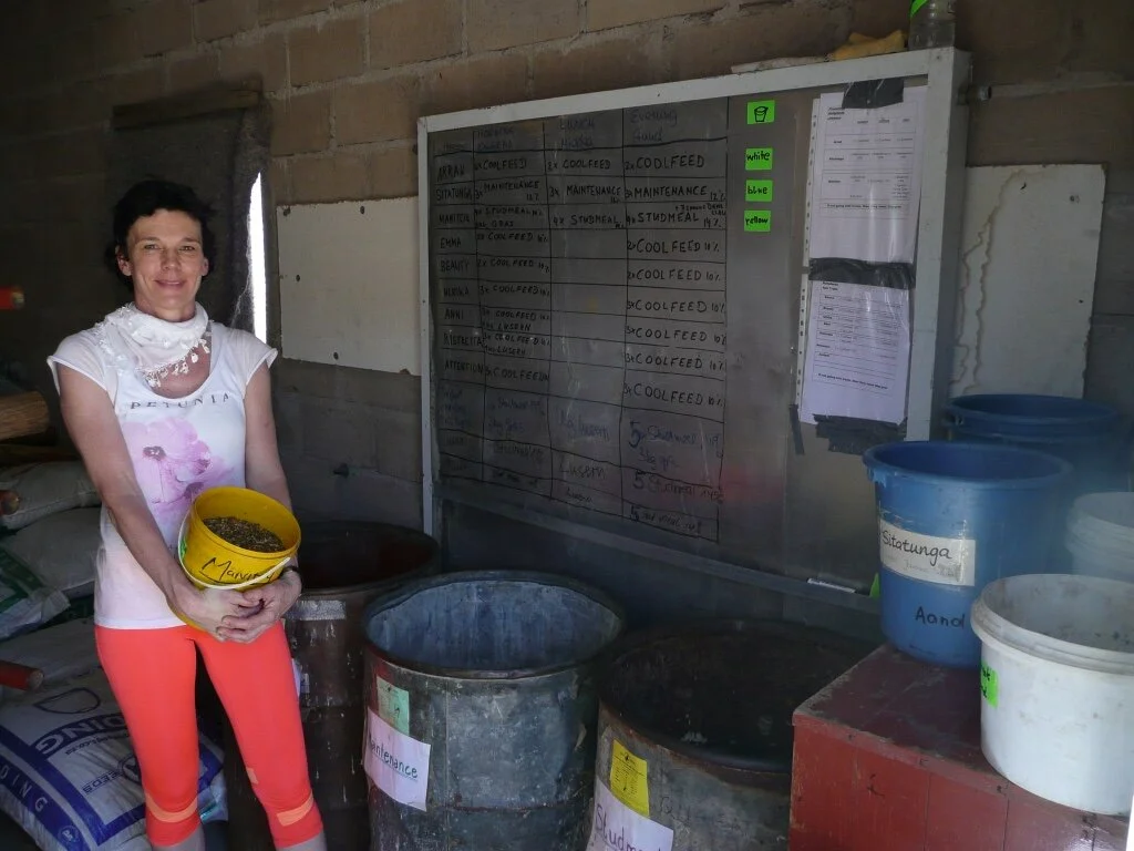 Schuften auf der Farm - Radiotagebuch