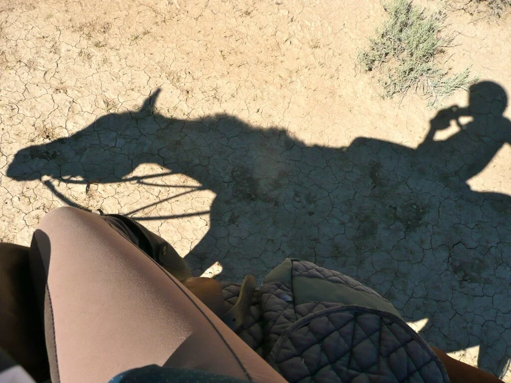 Wenn Weiße schwarz sehen - Radiotagebuch 