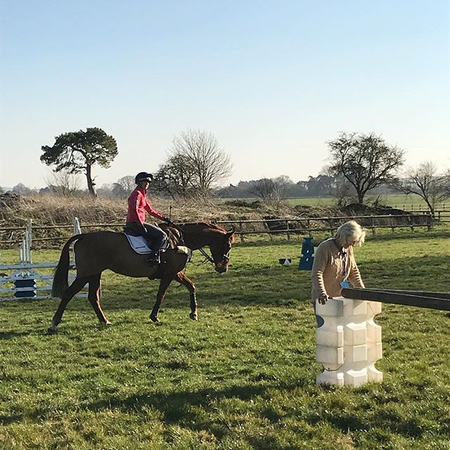 Today eventer Lissa Green opened up her yard and invited people in to meet her gorgeous horses and to see her ride. We were bowled over by her incredible talent and her utter devotion to her horses. Most moving of all was to watch her cross-country s
