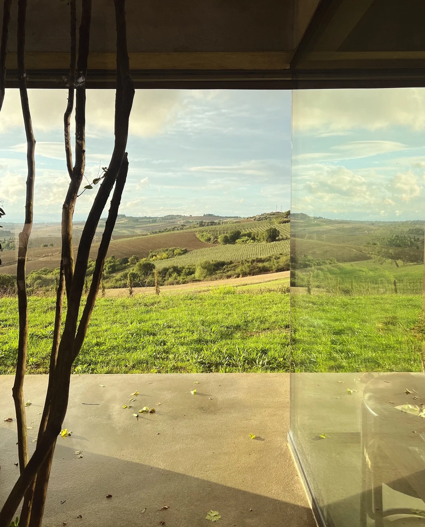 More reflections and dramatic early evening light after afternoon rains. #agradolce #casasulchiaro #italy #umbria