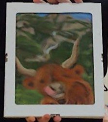 Fiona's highland cow (felting)