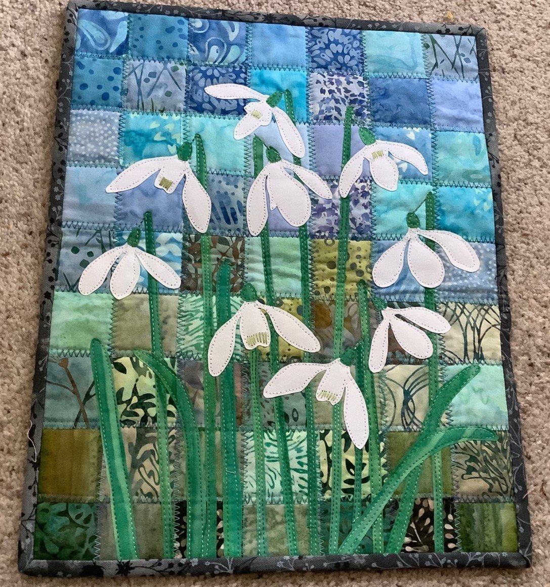 Heather's snowdrops