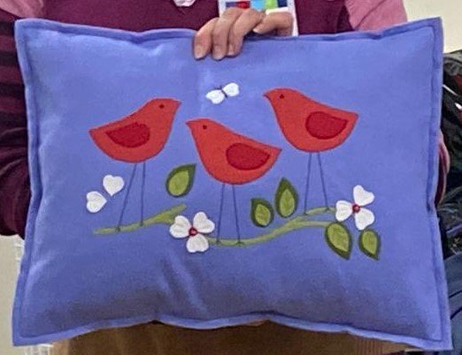 Lucy's cushion