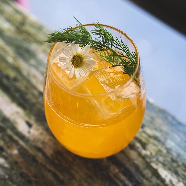 Meet one of our newest addition to our cocktail menu - Trophy Wife. She&rsquo;s easy on the eyes and made with the most luscious ingredients: Gin, Genepi and a fresh apricot &amp; dill shrub 🍑 😋.
📸 @pics_by_joris .
🍹 @hortenciel_billy
