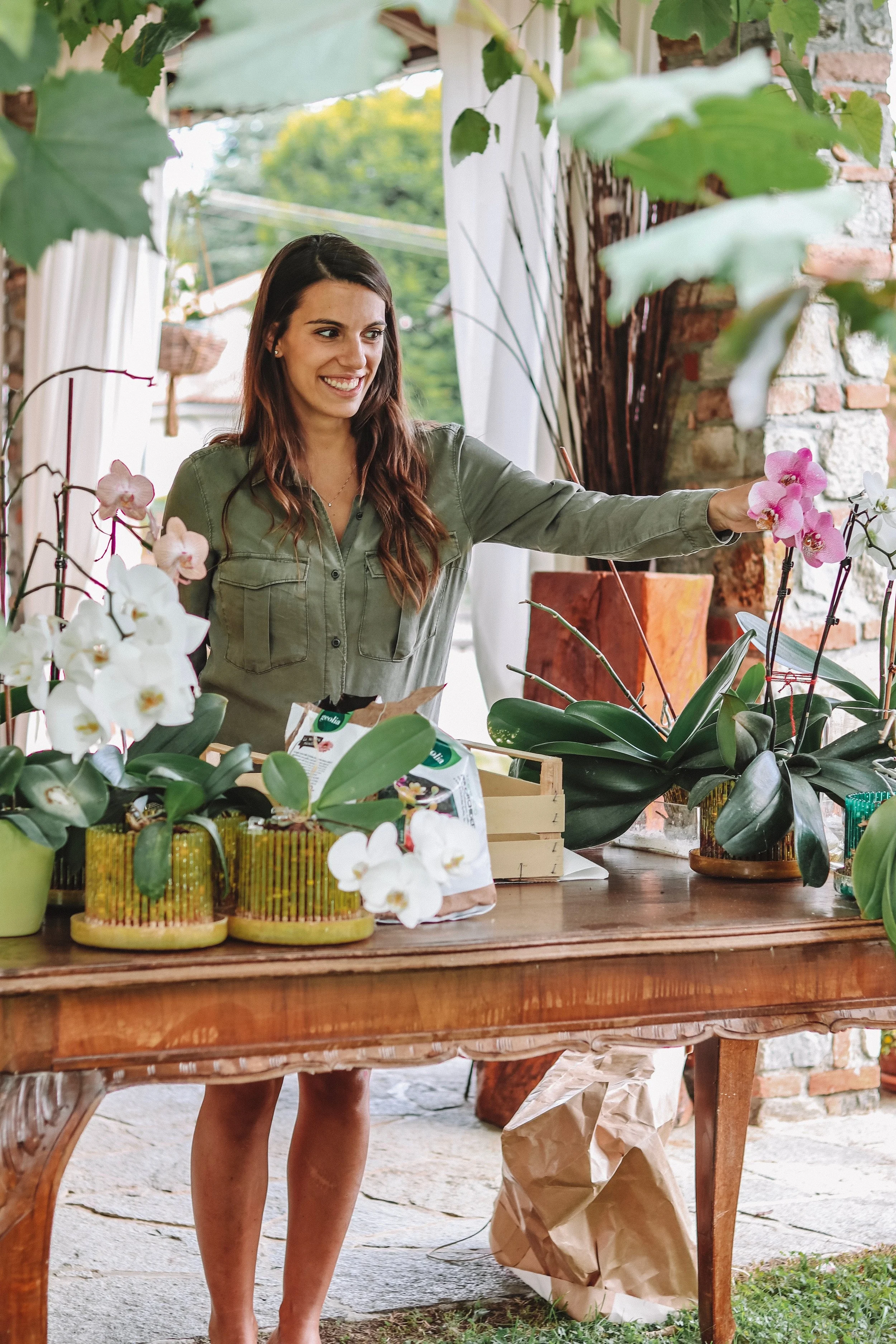 Orchidee, prima lezione