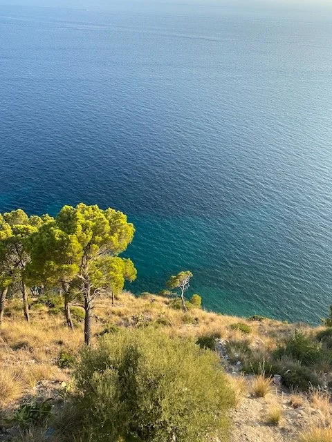 Cilento, mare e cibo