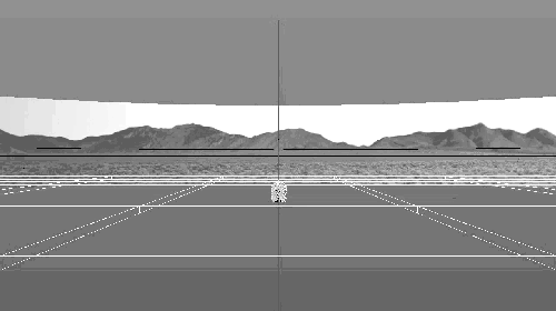 JoshuaTree_hardwarevideo_fast_greyscale.gif