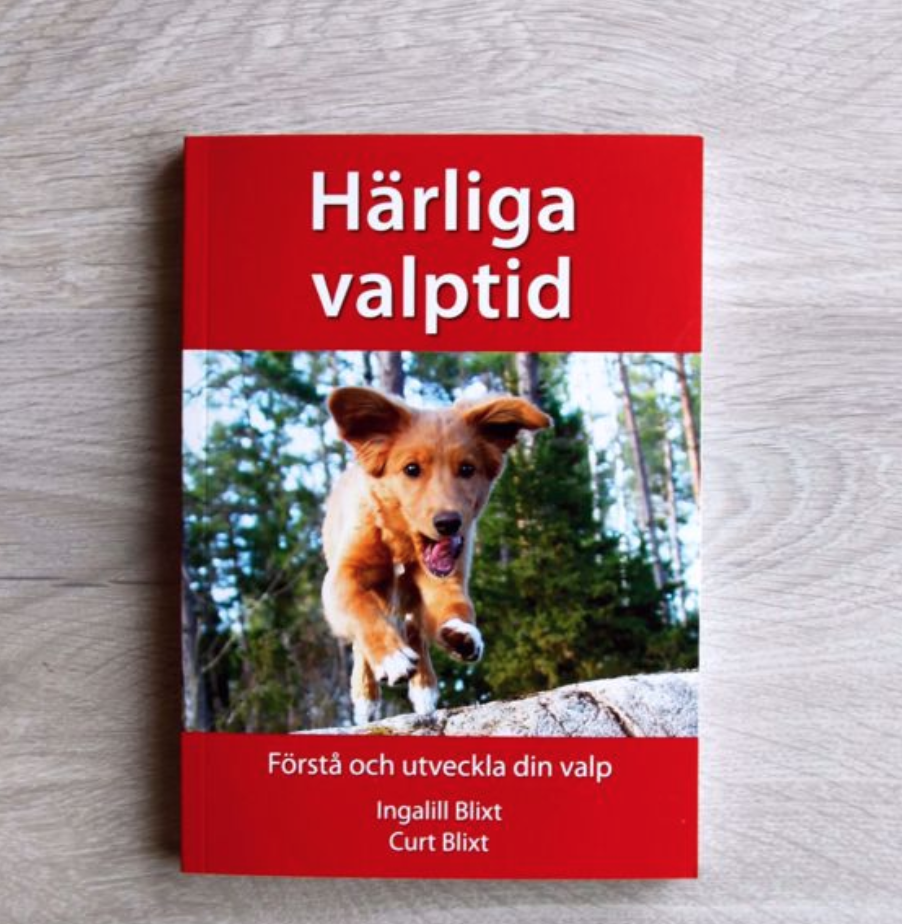 Screenshot 2020-09-28 at 19.31.37.png