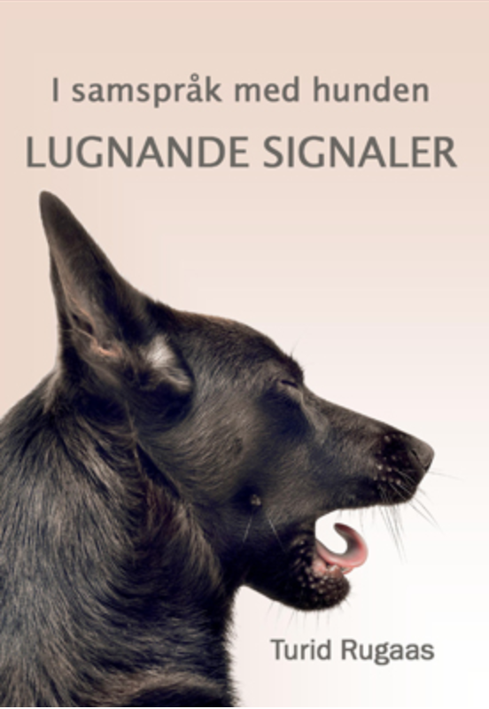 Screenshot 2020-09-28 at 19.33.30.png