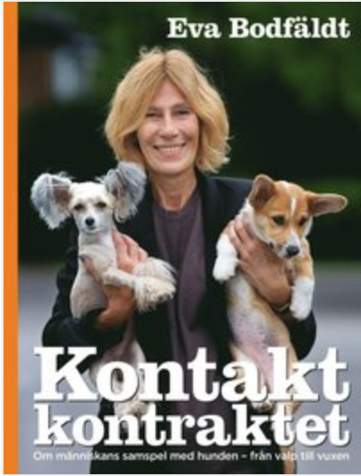 Screenshot 2020-09-28 at 19.38.49.png