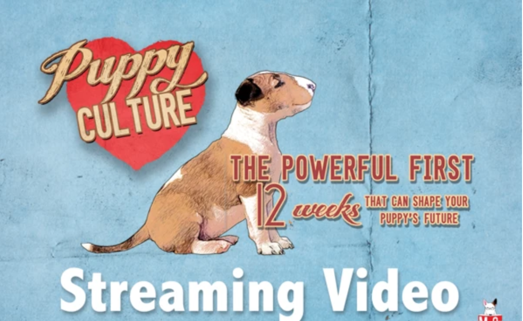 Screenshot 2020-09-28 at 19.47.36.png