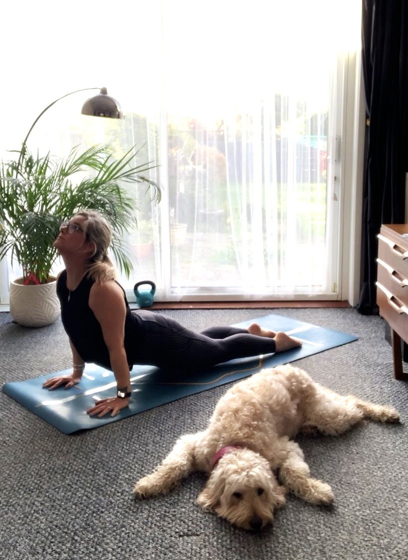 Yoga dogs medway