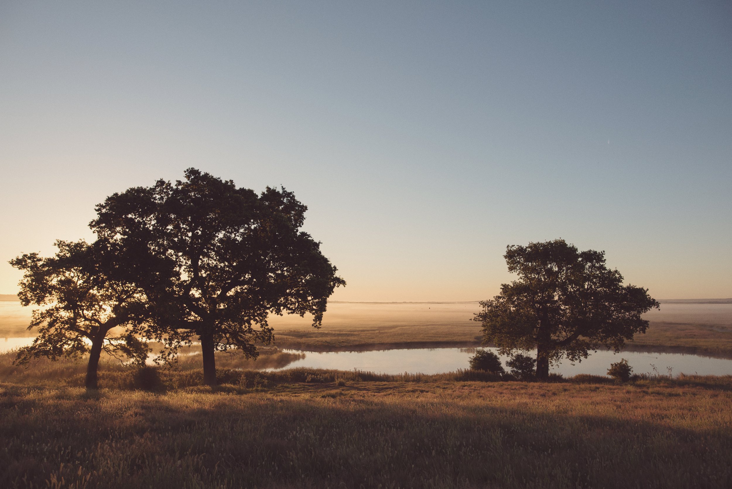 froala-uploads_1705309658889-Elmley+Nature+Reserve+Sunrise+Tuesday+30th+June+2015+-149.jpg