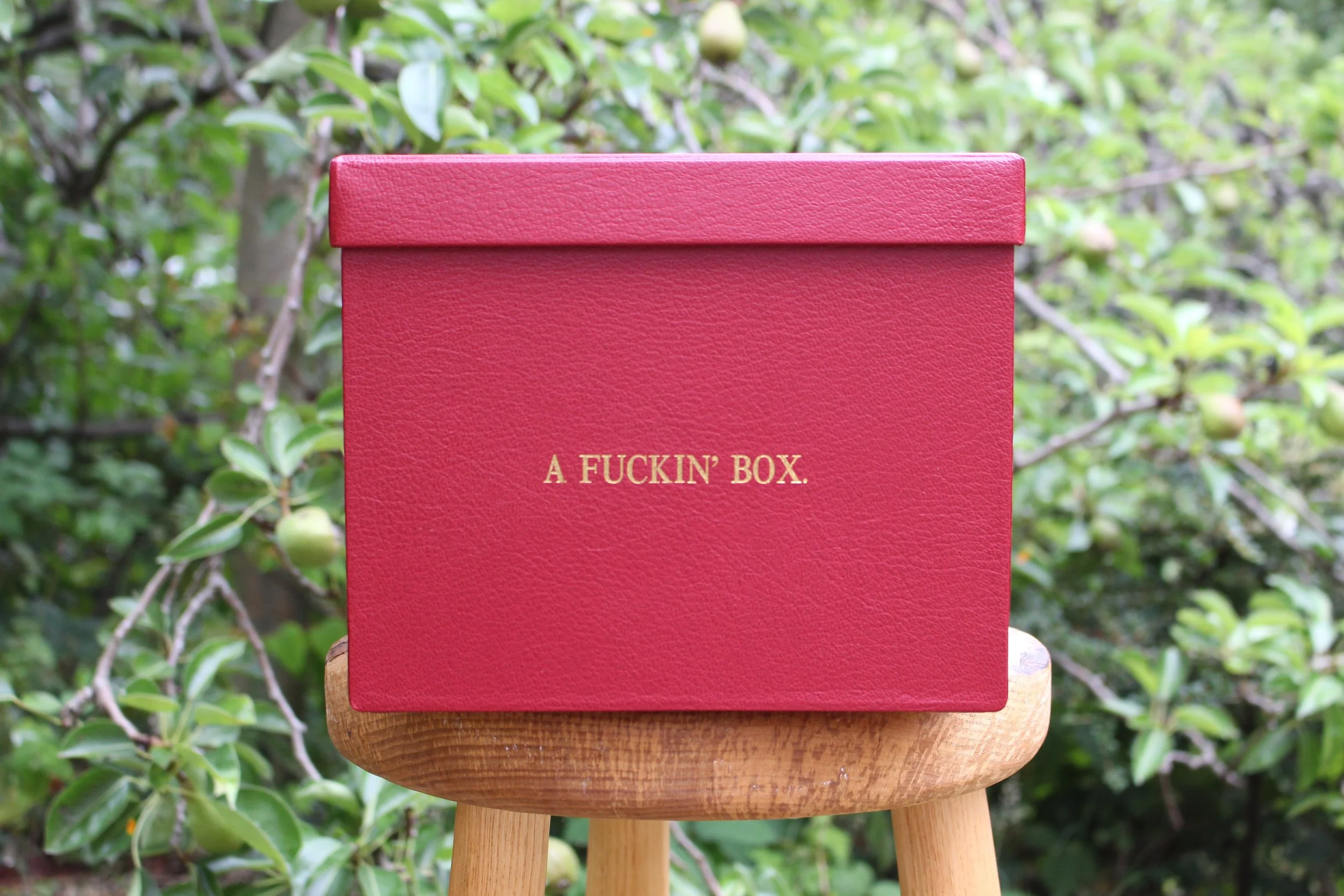 A FUCKIN' BOX - L.t.d. Ed.