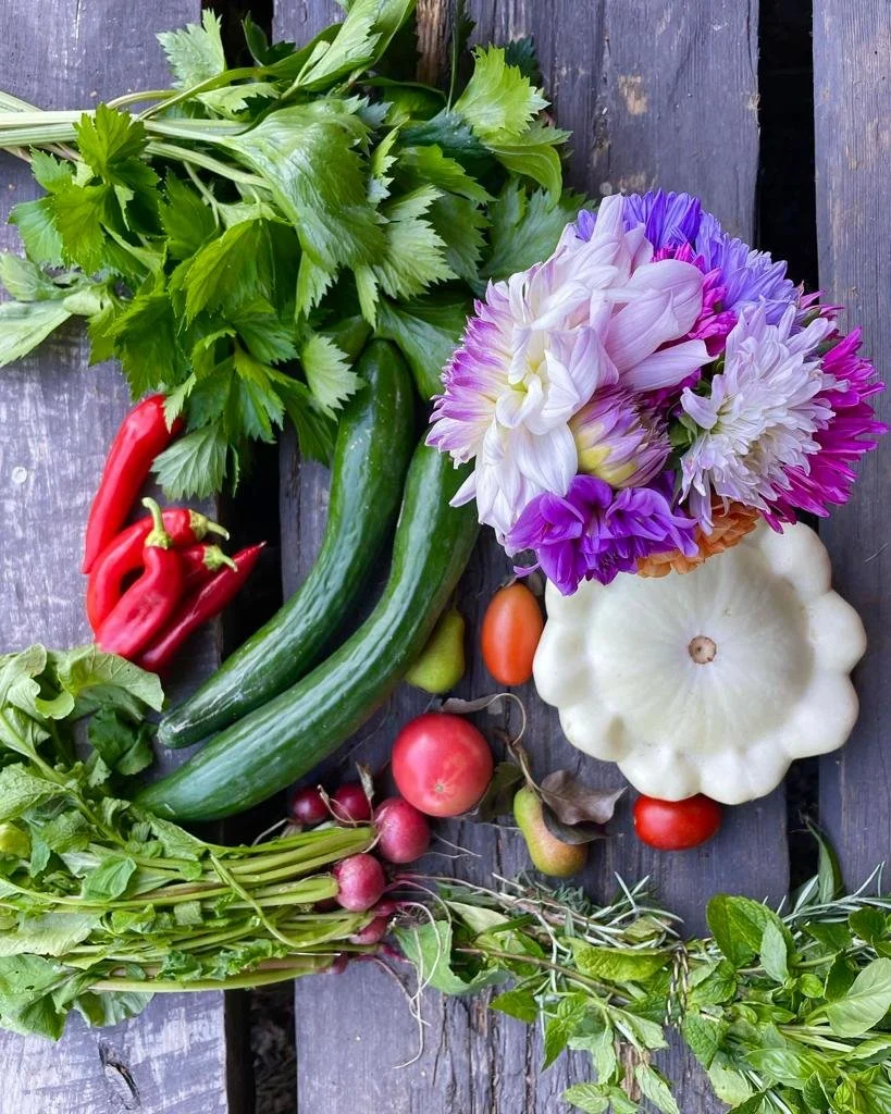 Odlingskurs: blommor, grönsaker och middag/ Viljelykurssi: kukkia, vihanneksia ja illallinen