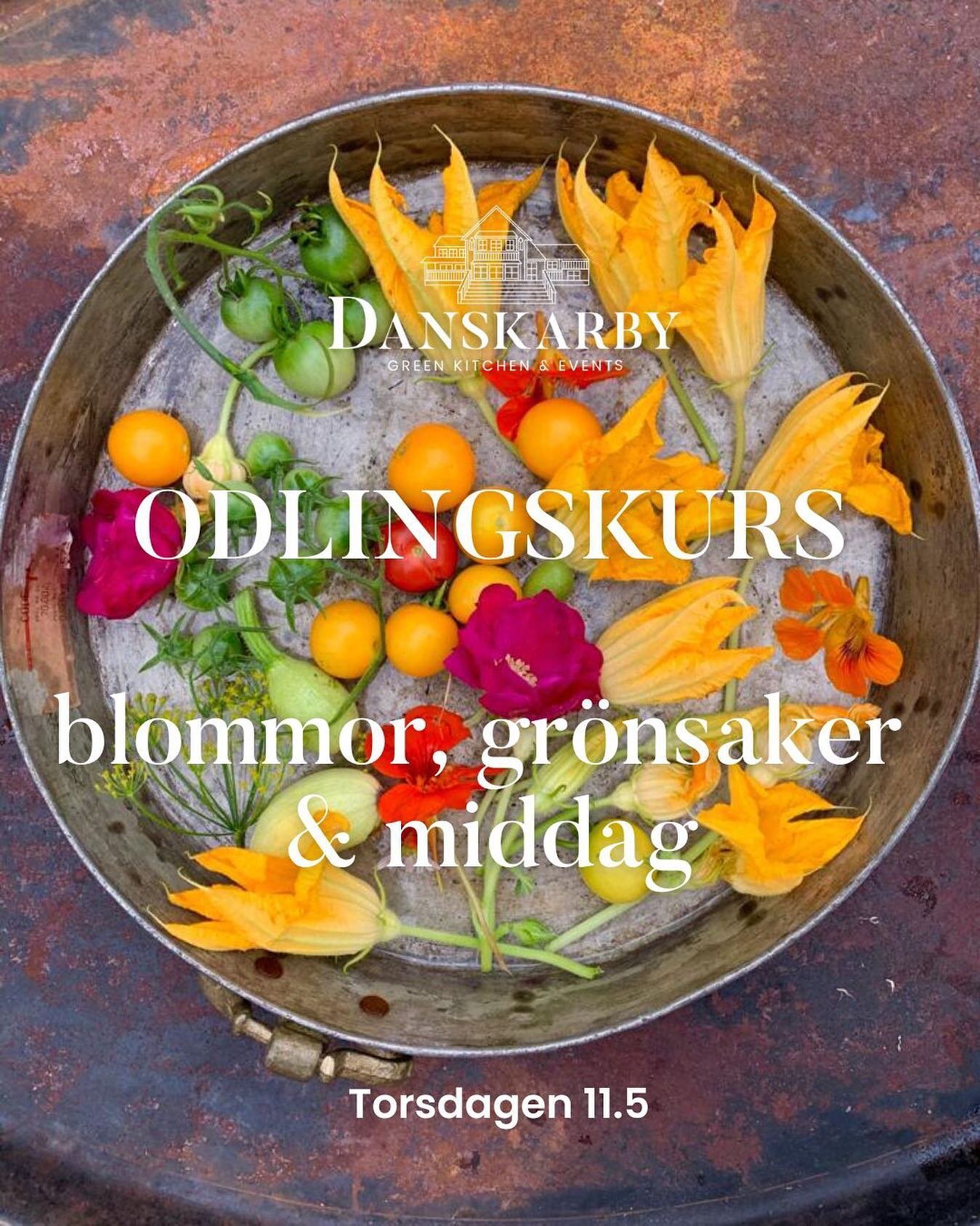 V&auml;lkommen p&aring; en kv&auml;llskurs och l&auml;r dig odla dina egna gr&ouml;nsaker och blommor till sommaren 2023.  Under kursen f&aring;r du praktiska tips som du kan anv&auml;nda i din egen k&ouml;kstr&auml;dg&aring;rd. Enkla och h&aring;llb