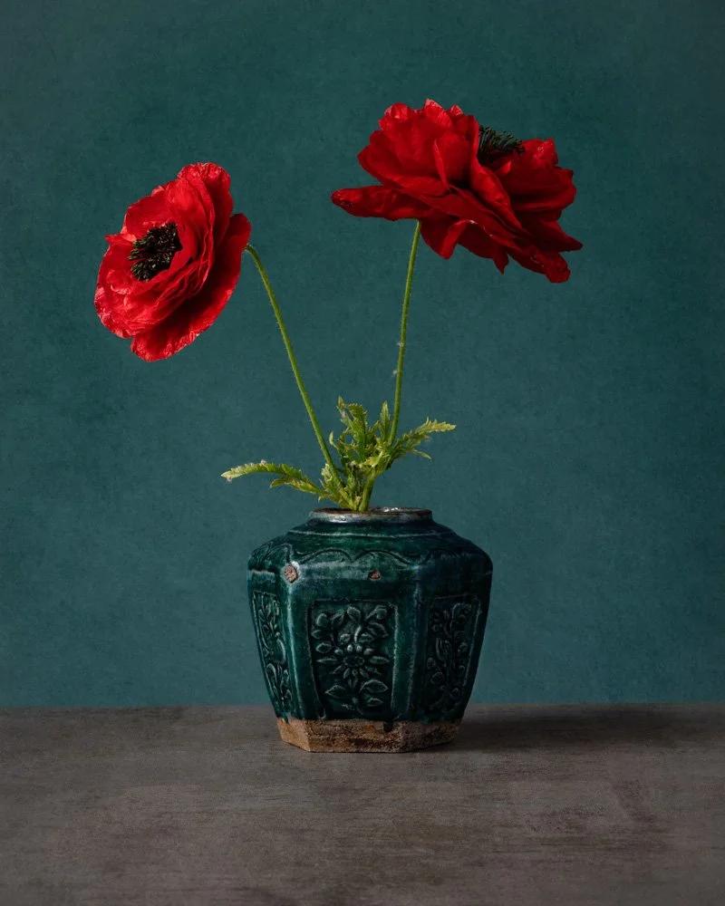Wild poppies  in a Ginger Jar_MG_6073.jpg