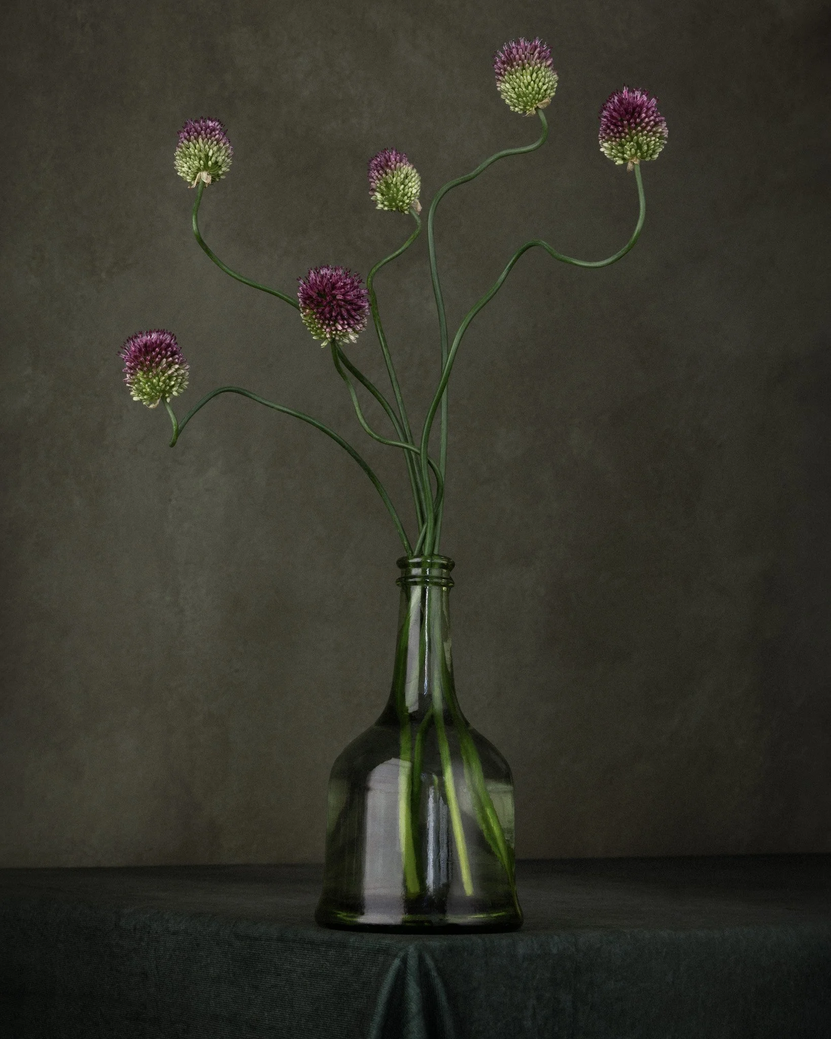 Allium in a green vase.jpg