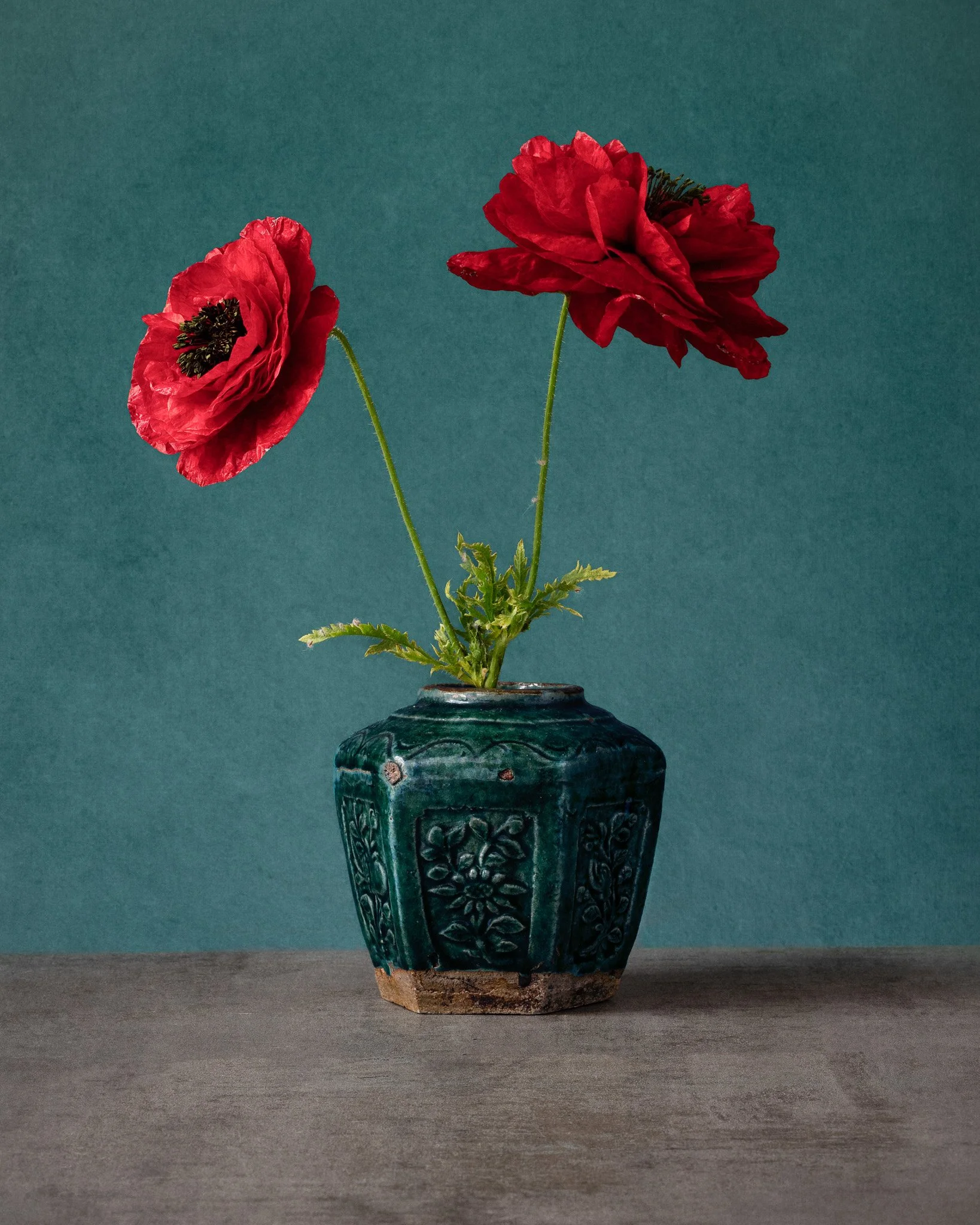 Wild Poppies in a ginger jar_MG_6073.jpg