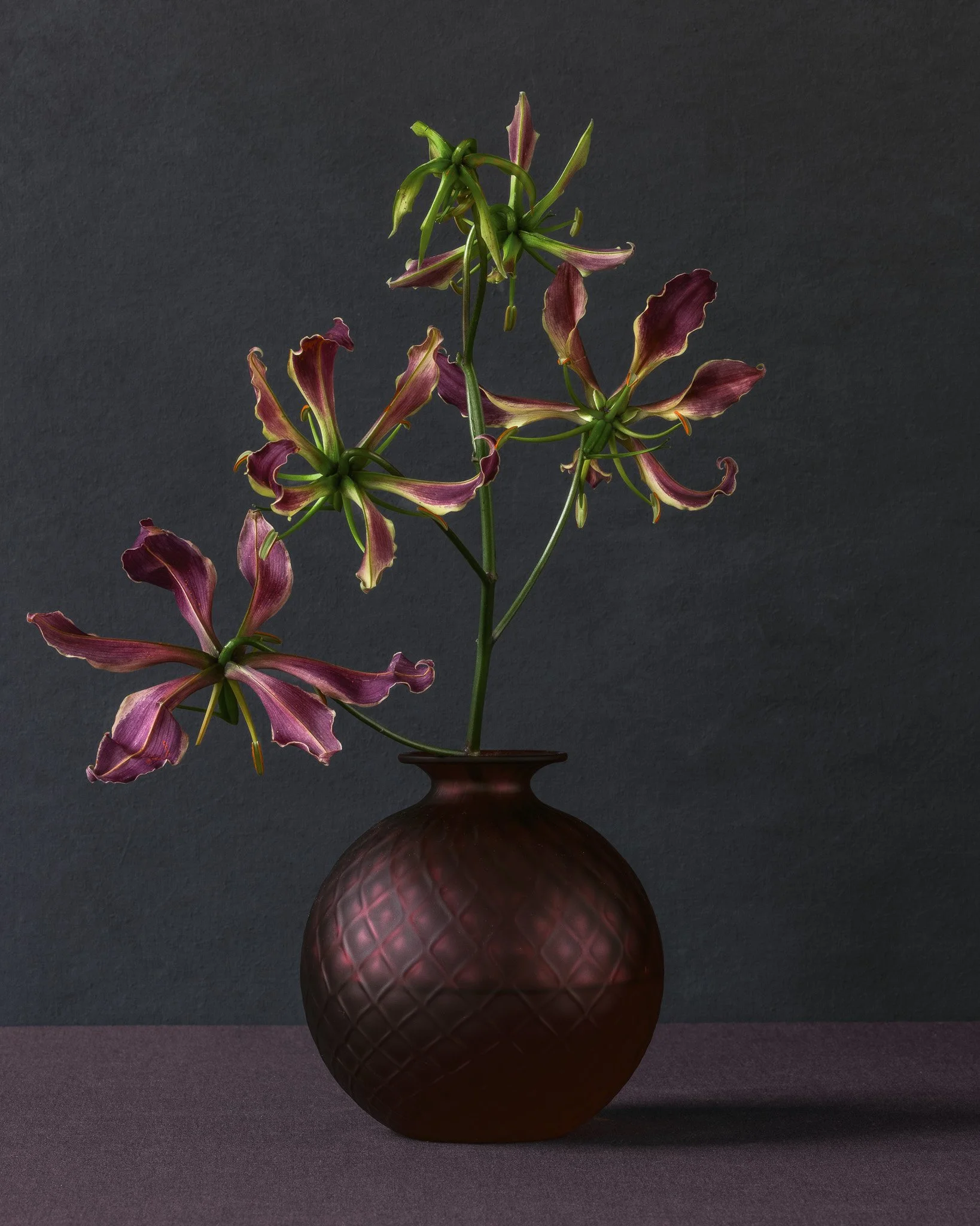 Gloriosa in a purple vase_MG_0281-bewerkt.jpg
