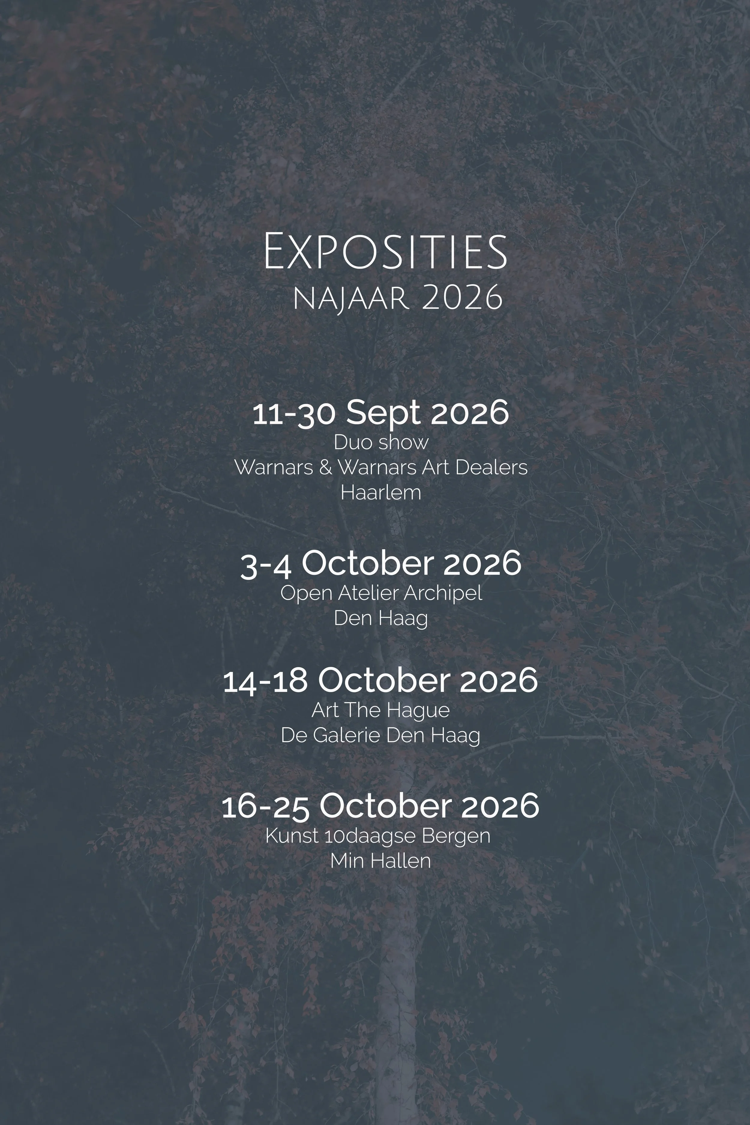 exposities najaar  2026_website kopie.jpg