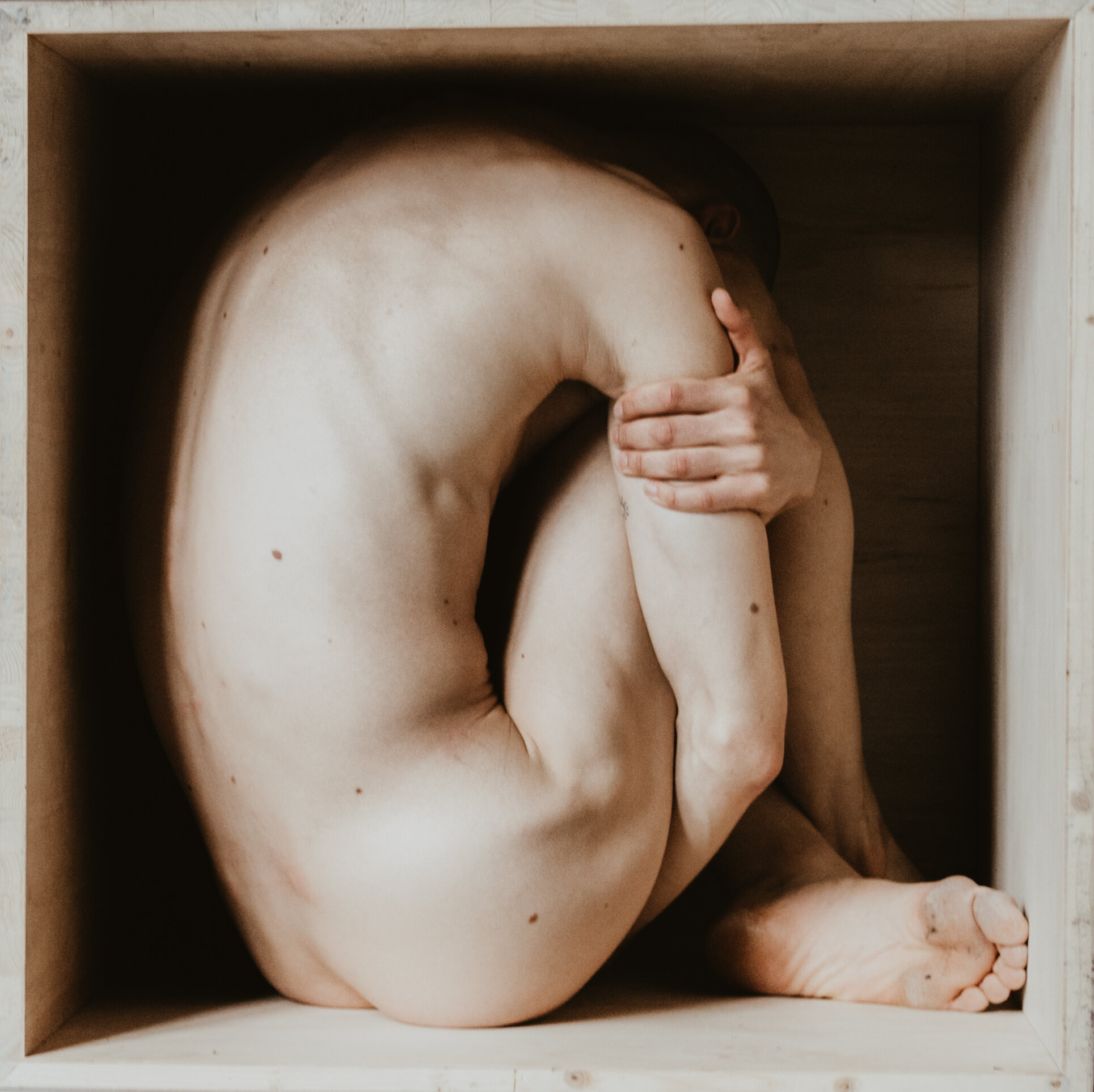 Sara Herrlander Photography 2.JPG