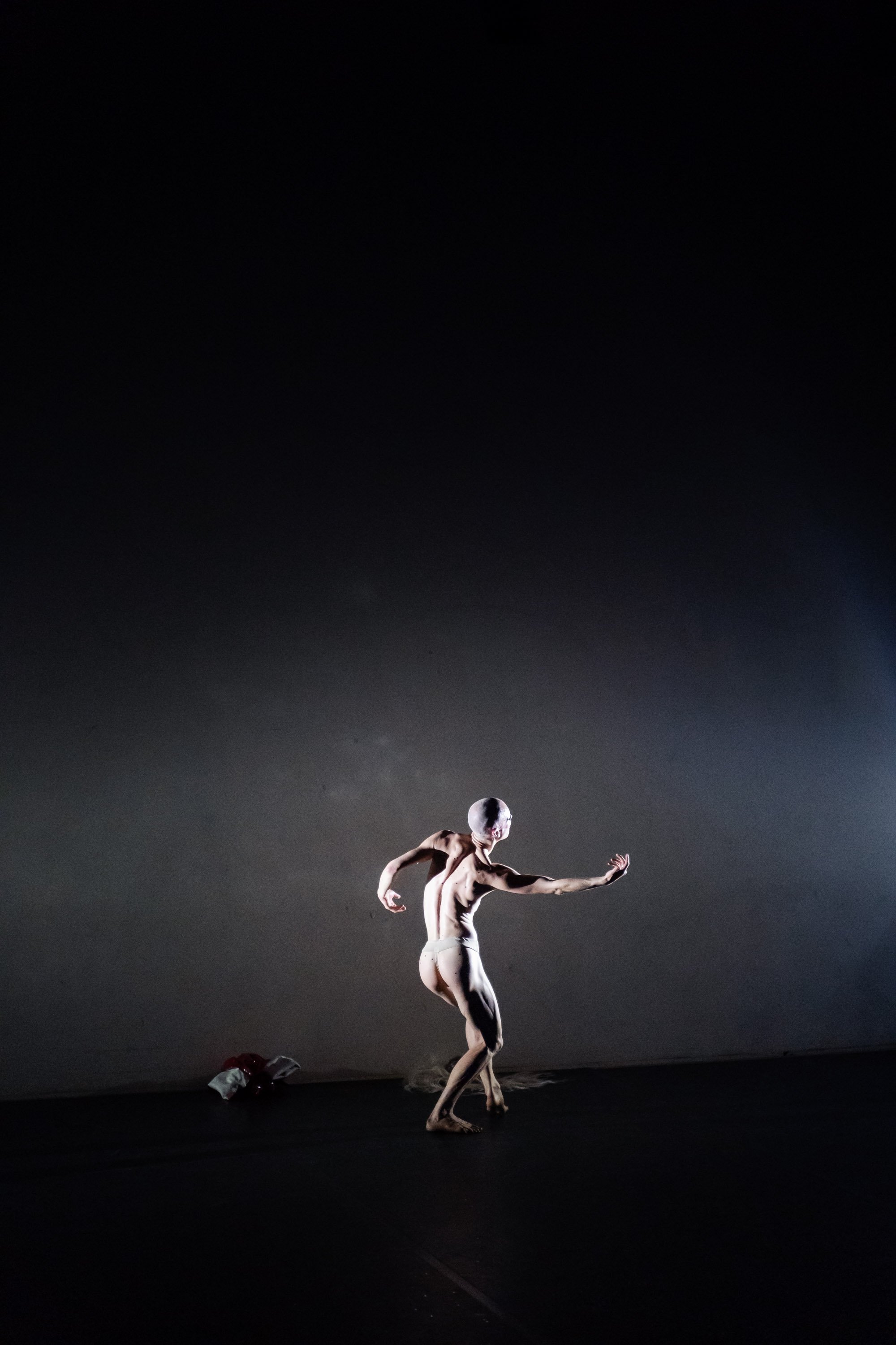  Photo by Pauline Kortmann 