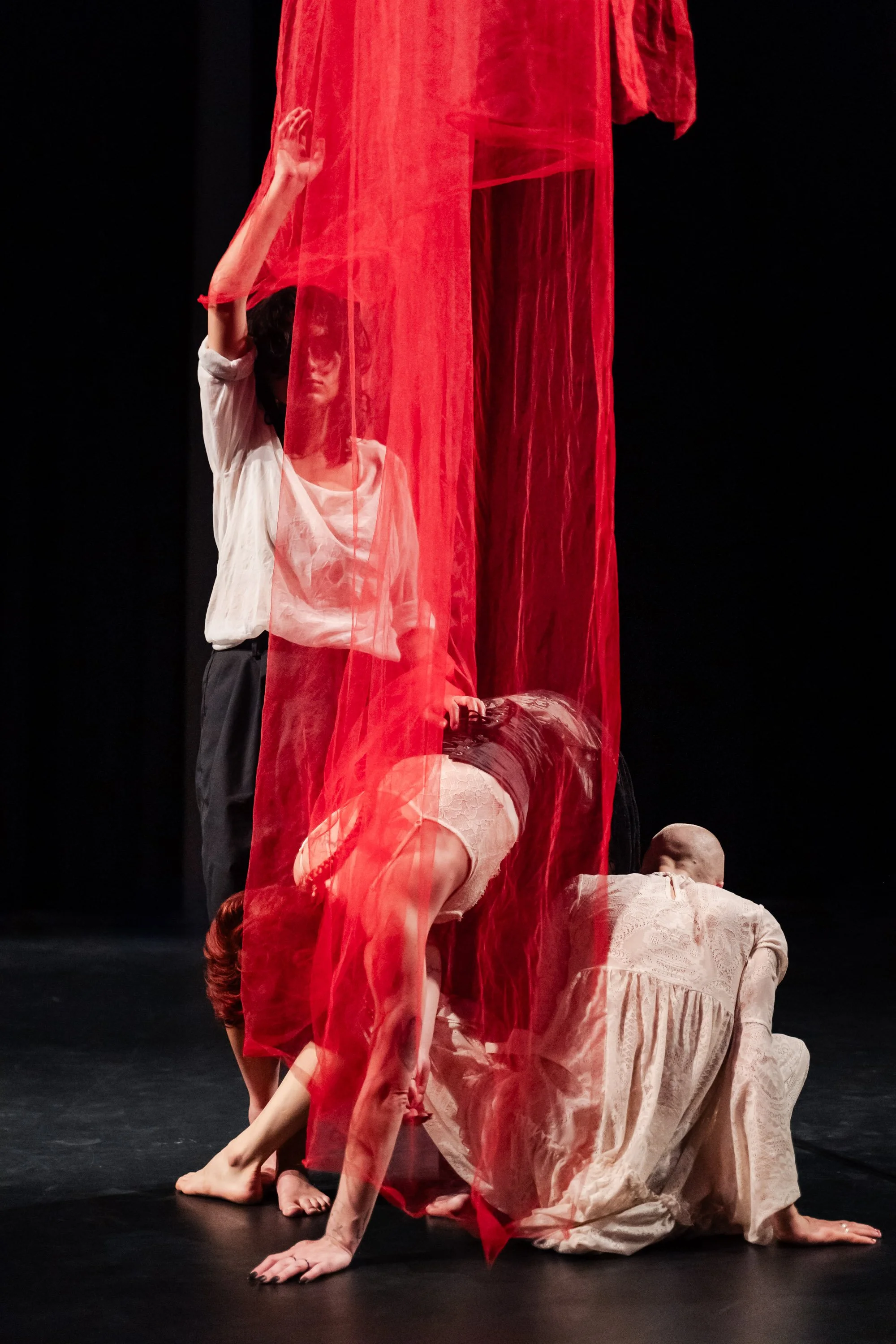  Photo by Pauline Kortmann 