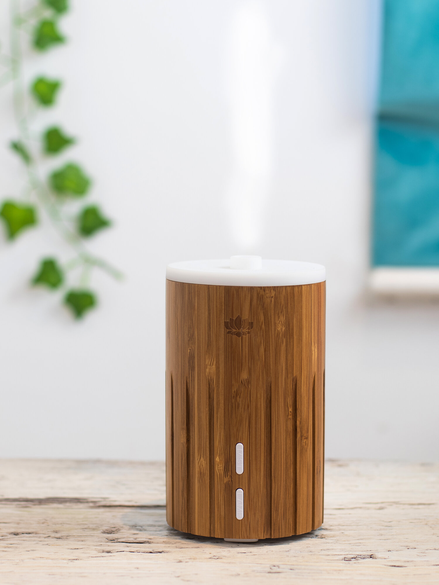 Esta Bamboo Aroma Diffuser Essential Oil Diffuser — Twenty Three Living